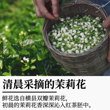 YizEnjoy四川茉莉红茶 大叶种红茶 浓香型茉莉花茶自己喝红茶蒙顶山80g