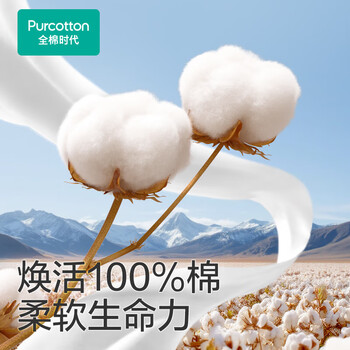全棉时代（PurCotton）婴儿棉柔不伤肌肤纯棉干湿两用巾新生儿专用 12*20CM 100抽*6包