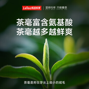 乐品乐茶明前特级碧螺春绿茶2026新茶嫩芽春茶自己喝茶叶礼盒装250g送长辈