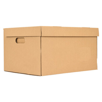 泰档档案箱空白连体纸箱带盖档案专用箱办公纸箱40*34.5*25cm 【10个】 K4034525-10