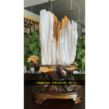 綺麗な化石 天然木 化玉原石 木化玉原石品牌及商品- 京东