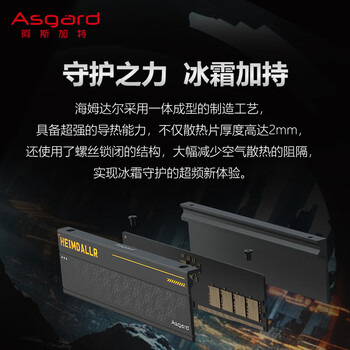 阿斯加特(Asgard)32GB(16GBx2) DDR5 6400 台式机内存条 海姆达尔 马甲条 海力士M-die CL32 黑厚甲 阿斯加特(Asgard)32GB(16GBx2) DDR5 6400 台式机内存条 海姆达尔 马甲条 海力士M-die CL32 黑厚甲