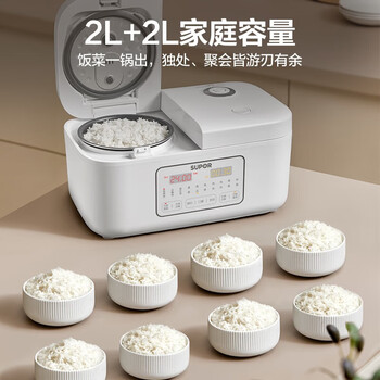 苏泊尔（SUPOR） 双胆电饭煲电饭锅家用不粘2+2L香甜饭煲仔饭多功能智能预约米饭锅 SF20TC601双胆双控 4L