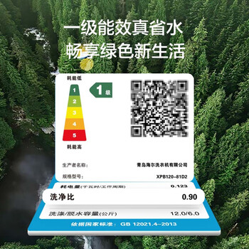 海尔(Haier)半自动双桶双缸洗衣机 12KG大容量 强力去污洗大件 一级能效家电 XPB120-81D2 海尔(Haier)半自动双桶双缸洗衣机 12KG大容量 强力去污洗大件 一级能效家电 XPB120-81D2