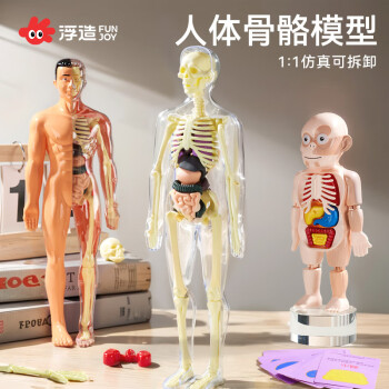 71qSekRoZDL._AC_UF1000,