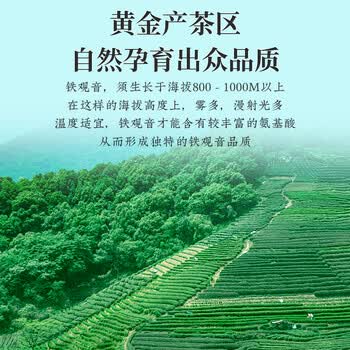 茶一馆茶叶安溪铁观音 新茶乌龙茶清香型茶叶礼盒装500g送长辈