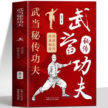 武当武功- 京东