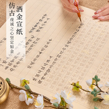 檀烨轩地藏抄经本初学者静心抄经套装地藏菩萨本愿经字帖宣纸临摹纸小楷描红毛笔字帖14张1遍