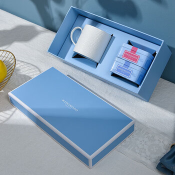 Wedgwood威基伍德几何白色浮雕陶瓷马克杯 320ml +随身包茶罐套盒（5片装)