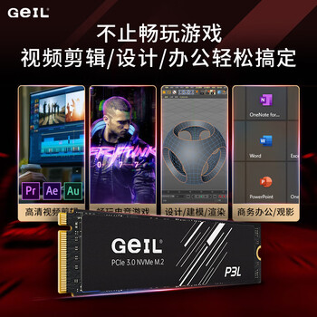 GEIL金邦 512GB SSD固态硬盘 M.2接口PCIe 3.0（NVMe协议）台式机笔记本硬盘 高速3000MB/S P3L系列