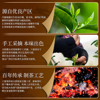 福东顺茶叶 六堡茶广西特产陈香茶叶罐装500g送礼自己喝
