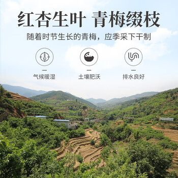 方家铺子乌梅干280g 精选自然晒制黑梅无硫熏 生吃泡水酸梅汤养生茶