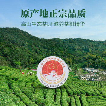 八马茶业绿茶龙井2026年新茶一级296g 瓷罐茶叶礼盒端午父亲节送礼 好运成双