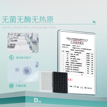 比克曼生物 细胞培养板一次性孔板无菌无酶无热原独立装透明 【24孔】贴壁透明平底带盖