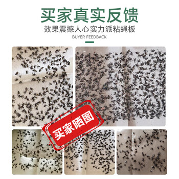 巨奇猫山王飞虫诱捕器飞蛾陷阱家用灭飞蛾蚋蛾蠓米面蛾子粘板10片