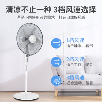 先锋（SINGFUN）五叶家用电风扇 机械立式落地扇 18寸5叶牛角扇 FS45-21A