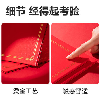 得力（deli）6本12K皮纹板面荣誉证书奖状年会获奖证书 典礼表彰场合适用配内芯6张BR803