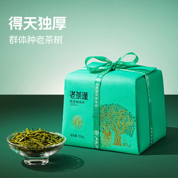 卢正浩绿茶老茶蓬龙井茶叶特级250g2025新茶明前春茶自营纸包自饮送礼 卢正浩绿茶老茶蓬龙井茶叶特级250g2025新茶明前春茶自营纸包自饮送礼