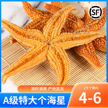 踏梅野生海星鲜活熟冻满籽食用五角星青岛海鲜特产水产新鲜速冻海五星
