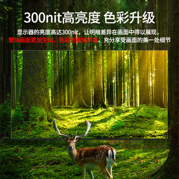 三星（SAMSUNG）43英寸超薄4K超高清显示器游戏大屏壁挂电脑会议显示屏内置音响监视器展厅广告机宣传屏炒股屏幕