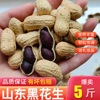 黑色花生米价格报价行情- 京东 黑色花生米价格报价行情- 京东