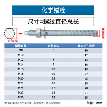 天猴 化学锚栓 化学螺栓  化学膨胀螺丝化学膨胀螺栓锚栓含药剂 20*260（2套）4.8级彩锌化学锚栓