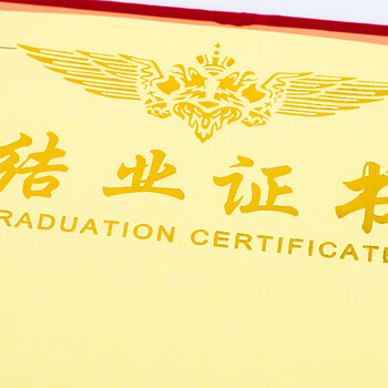 Touch Fish 结业证书奖状封皮证书外壳空白内芯烫金红色绒面进修培训 大12K结业证书（10本装）附20张内芯