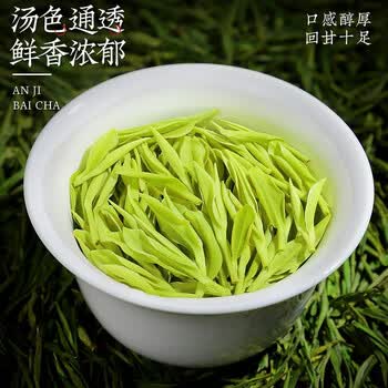 山水西湖绿茶安吉白茶特级250g2026新茶明前头采春茶叶礼盒端午父亲节送礼