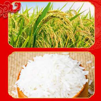 六神花露水95ml*2瓶 清凉祛痱止痒+金谷丰登十二珍1.8kg杂粮大健康