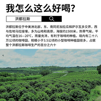 LUJIAZUI鹿家嘴洪都拉斯莫卡庄园雪莉精品手冲咖啡豆威士忌酒桶发酵100g