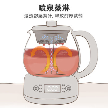 小熊（Bear）煮茶器养生壶烹煮一体茶壶迷你蒸茶器 316L喷淋式不锈钢烧水壶黑茶茶具1升ZCQ-F10N7