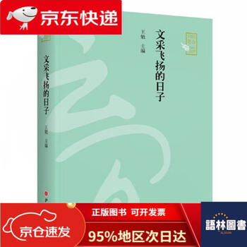 热血飞扬的日子张成小说
