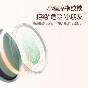 齐心（COMIX）首饰盒收纳盒高档精致耳环项链戒指储物盒带锁双层黄金指纹首饰盒 DS-823 浅绿色