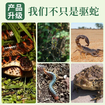 鼠道难赤惑 驱蛇粉硫磺粉非雄磺粉户外露营防蛇虫药庭院家用驱蛇药2500g