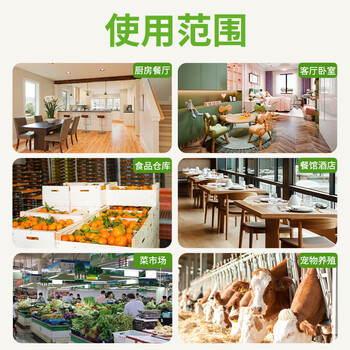 力仕康苍蝇贴50张苍蝇粘纸粘蝇纸果蝇小飞虫诱捕器灭蝇杀蝇神器粘蚊虫板 力仕康苍蝇贴50张苍蝇粘纸粘蝇纸果蝇小飞虫诱捕器灭蝇杀蝇神器粘蚊虫板