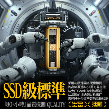 移速（MOVE SPEED）1TB 固态U盘 USB3.2/Type-C双接口u盘手机电脑两用高速大容量移动优盘 读速1090MB/s 狂野Wild