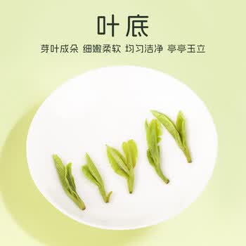 隔尘香2026新茶现货龙井43号特级AA龙井茶250g明前绿茶纸包豆香茶叶春茶 隔尘香2026新茶现货龙井43号特级AA龙井茶250g明前绿茶纸包豆香茶叶春茶