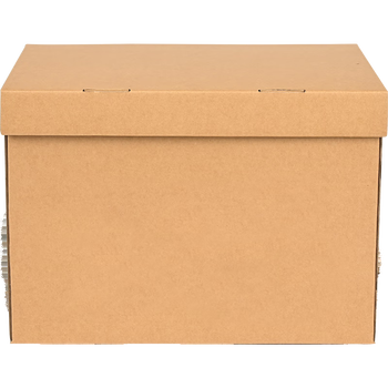 泰档档案箱空白连体纸箱会计凭证收纳箱办公纸箱 大号45*34.5*25cm 10个装 K4534525-10