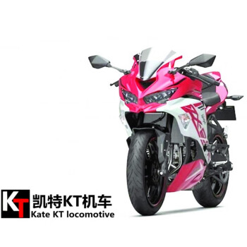 川崎250cc摩托车价格报价行情- 京东