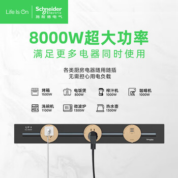 施耐德电气轨道插座插线板接线板拖线板建议搭配银/黑轨道2USB口适配器银色 施耐德电气轨道插座插线板接线板拖线板建议搭配银/黑轨道2USB口适配器银色