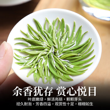 醉君怀茶叶绿茶明前碧螺春特级2026新茶陶瓷240g礼盒装送人茶叶节日父亲