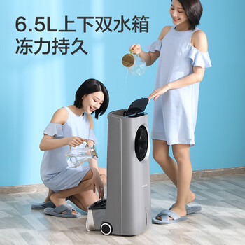 飞利浦（PHILIPS）空调扇强力制冷风扇家用冷风机无叶水冷电风扇落地塔扇负离子净化遥控加湿空气循环扇ACR4146BX