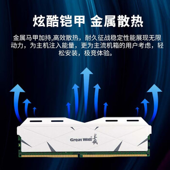 长城（Great Wall）16GB DDR4 4000 马甲条 台式机内存条