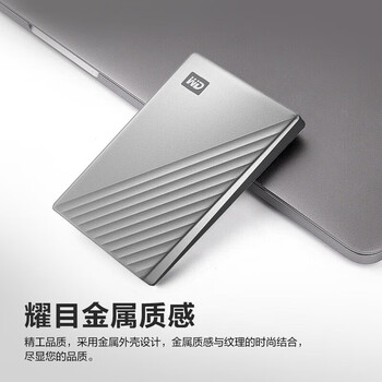 西部数据（WD）2TB Passport Ultra2.5英寸 兼容Mac 密码保护便携机械硬盘 银色