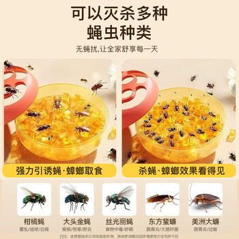 滴畅杀蝇饵剂1盒灭杀苍蝇药果蝇诱捕器小飞虫克星灭杀神器果蝇杀虫剂