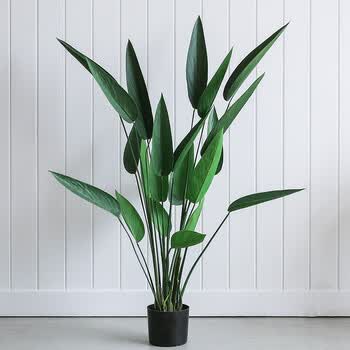 仿真绿植 大型盆景北欧盆栽仿真盆景 家居客厅落地摆件 美人蕉