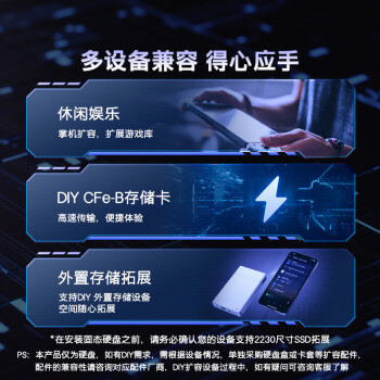 Crucial英睿达 美光P310 2TB SSD固态硬盘 2230 M.2（NVMe PCIe4.0*4）7100MB/s 适配SteamDeck掌机笔记本