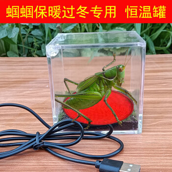 中国 蟋蟀罐 蟋蟀盆 蟋蟀罐蟋蟀盆新款- 蟋蟀罐蟋蟀盆2021年新款- 京东