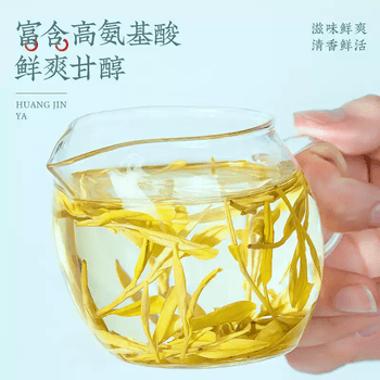 中谷御品茶叶绿茶黄金芽2026新茶明前特级安吉奶白茶送礼茶叶礼盒150g