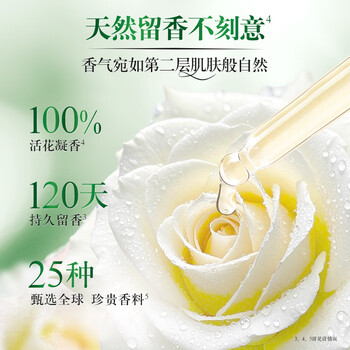 金纺自营洗衣搭档衣留香珠山茶200g*2+蓝风铃200g*2 留香除菌除螨除味